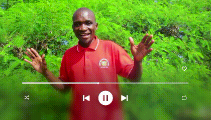 Cover of Wete phama_Mukukumala Grande